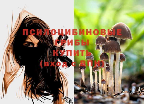 MDMA Premium VHQ Белокуриха