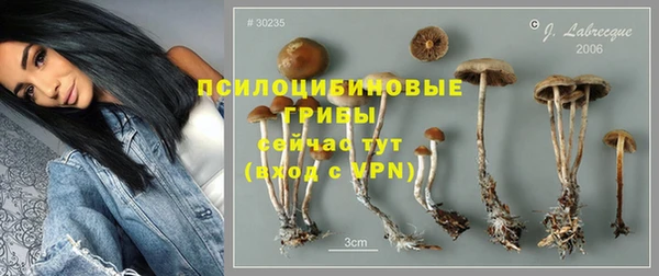 MDMA Premium VHQ Белокуриха