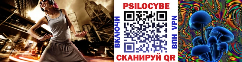 Псилоцибиновые грибы Psilocybine cubensis наркошоп сайты даркнета официальный сайт Вельск